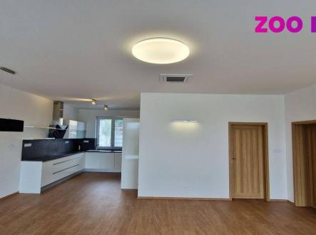 Pronájem - dům/vila, 247 m²