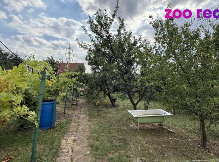 Prodej - pozemek, zahrada, 479 m²
