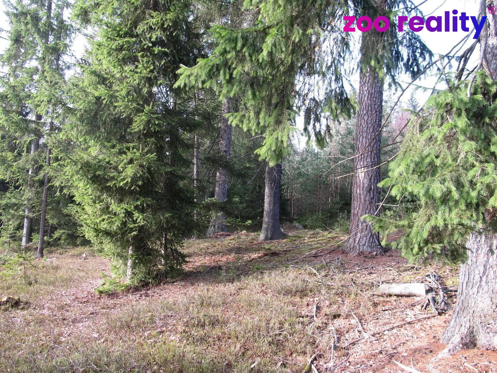 Prodej pozemek Lesy, 4 056㎡|Jindřichův Hradec, Jihočeský kraj, Deštná, 37825