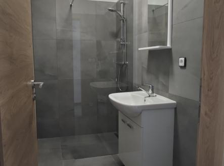 IMG_20250515_100058 | Pronájem bytu, 1+1, 63 m²
