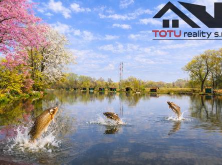 file-000000003f70720abe2efc0c0e78dbd8.png | Prodej - pozemek, ostatní, 44 772 m²