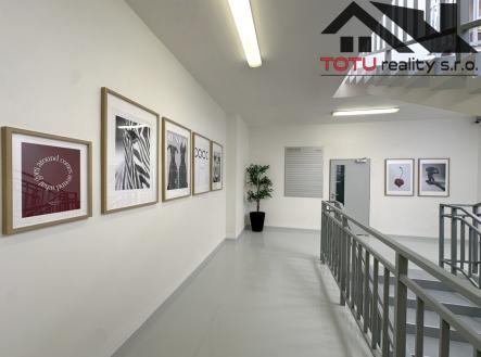 img-4217.jpeg | Pronájem - kanceláře, 49 m²