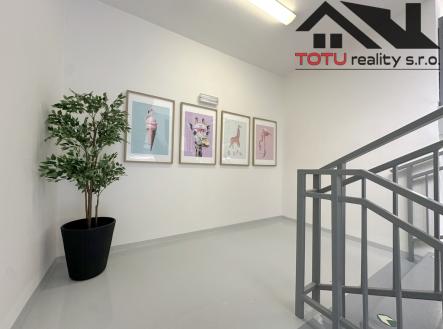 img-4205.jpeg | Pronájem - kanceláře, 45 m²