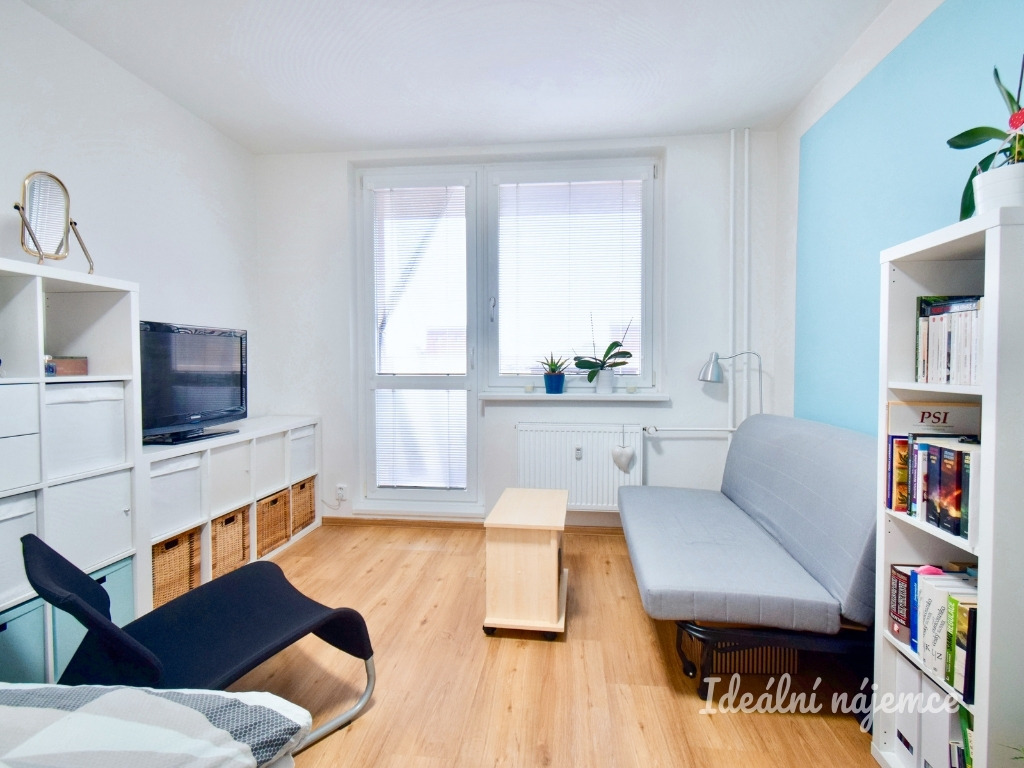 Pronájem bytu 1+1, Ulička, Kohoutovice, 31 m2