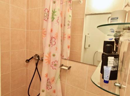 Pronájem bytu, 1+kk, 20 m²