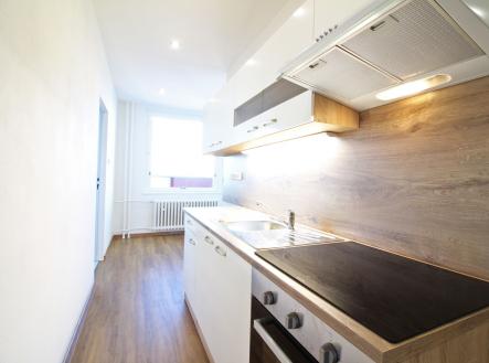 Pronájem bytu, 1+1, 47 m² obrázek