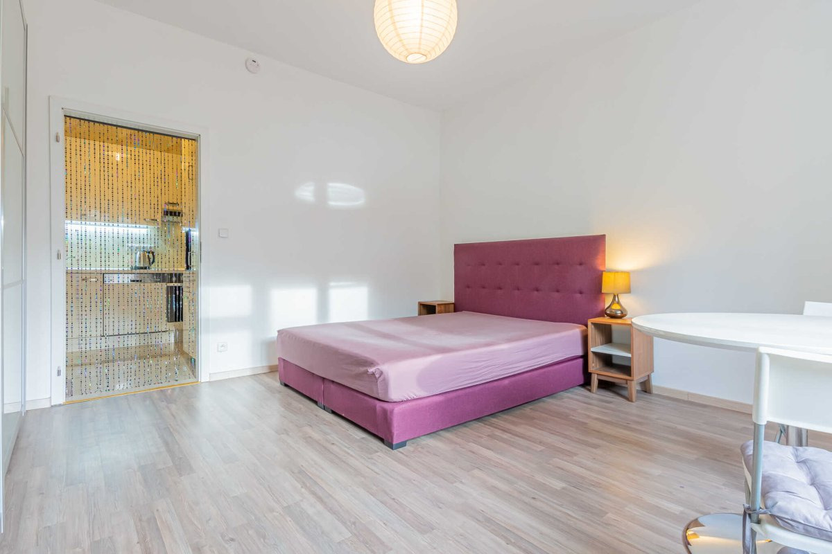 Pronájem bytu 1+1, U Pernštejnských, Praha - Nusle, Praha 4