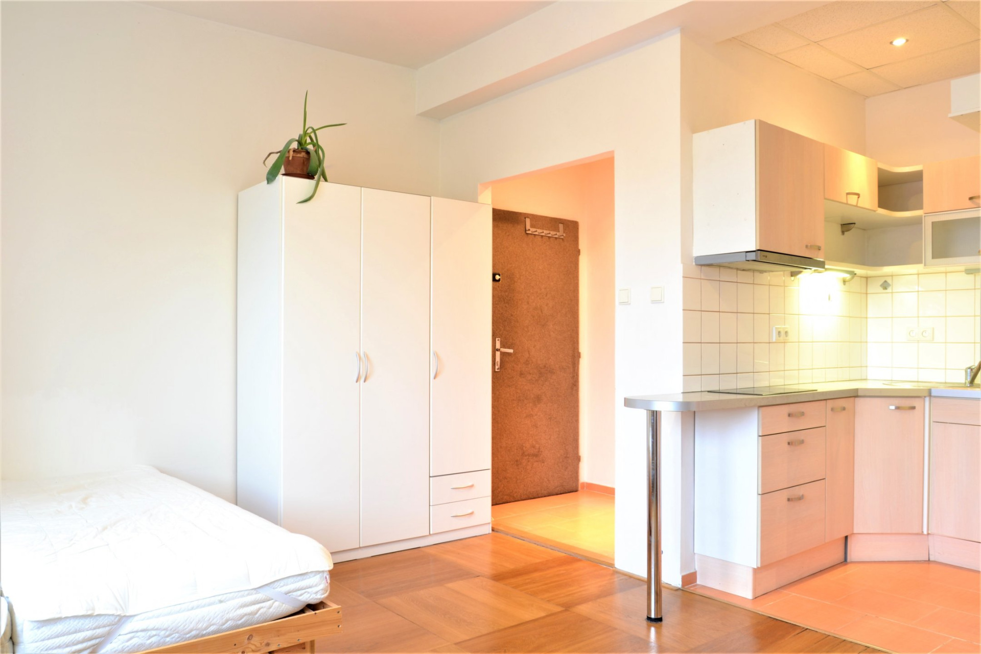 Pronájem 1+kk, Brno - Veveří, Žižkova, 13 000 Kč / měsíc, 27 m2