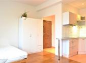 Pronájem bytu, 1+kk, 25 m²