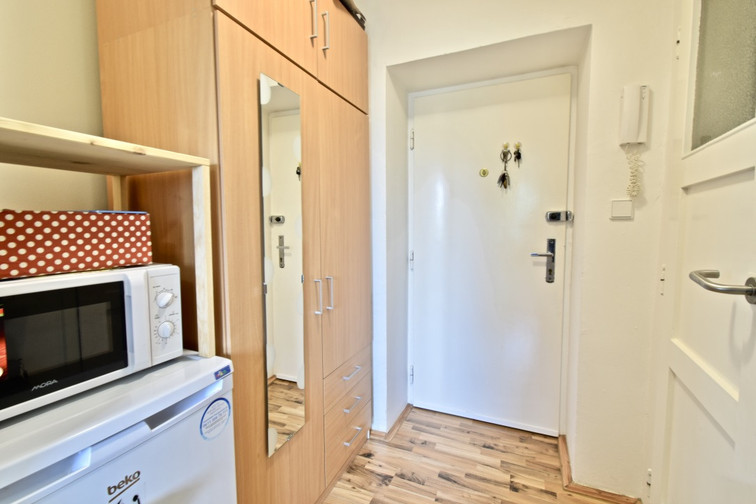 Pronájem bytu 1+1, Sibiřská, Brno - Řečkovice
