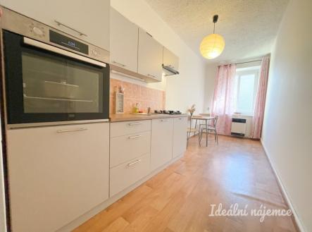 Pronájem bytu, 1+1, 41 m² obrázek