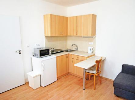 Pronájem bytu, 1+kk, 23 m²