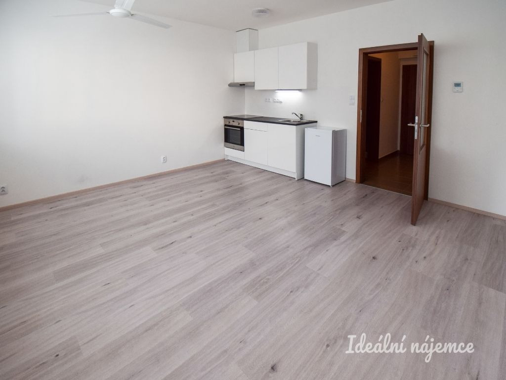 Pronájem bytu 1+kk, Chudčická, Brno - Bystrc,  12 500 Kč/měs., 30 m2