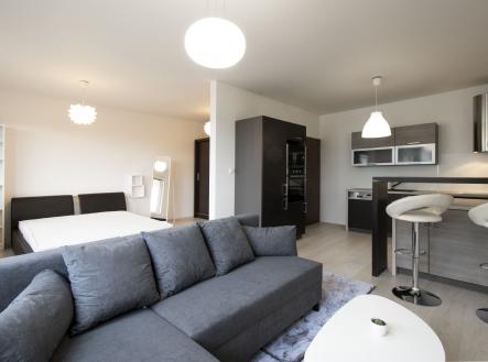 Pronájem bytu, 1+kk, 48 m² obrázek