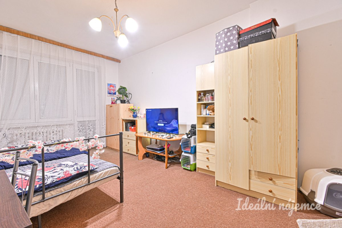 Pronájem bytu 1+1, Ječná, Brno - Řečkovice, 13 000 Kč/měs., 40 m2