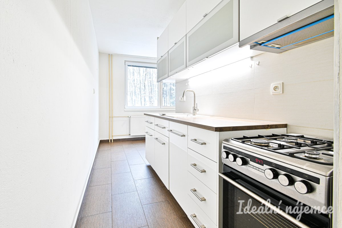 Pronájem bytu 2+1, Voříškova, Brno - Kohoutovice, 21 500 Kč/měs., 52 m2