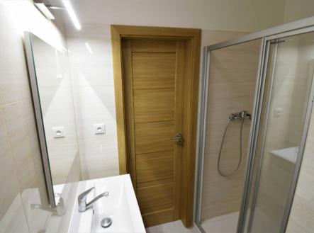 Pronájem bytu, 1+kk, 25 m²