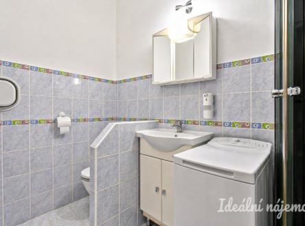 Pronájem bytu, 1+1, 35 m²