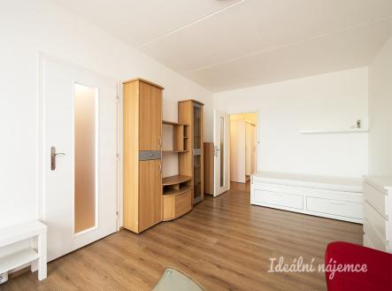 Pronájem bytu, 1+1, 42 m²