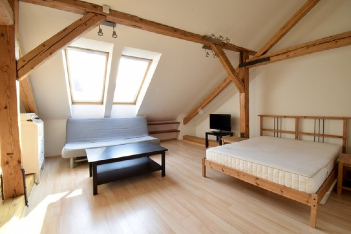 Pronájem bytu 1+kk, Veselá, 16 900 Kč, Město Brno, 58 m2