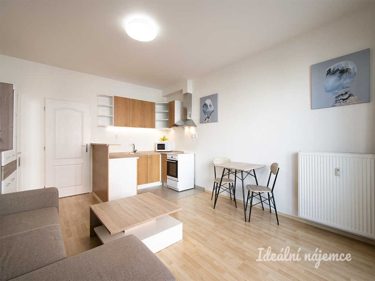 Pronájem bytu 1+kk, Mikanova, Praha - Záběhlice, 16 000 Kč/měs., 29m2