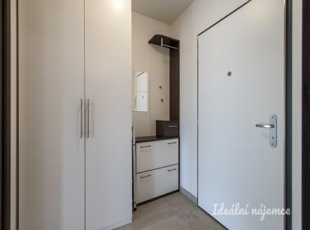 Pronájem bytu, 1+kk, 31 m²