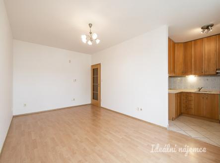 Pronájem bytu, 2+kk, 46 m²