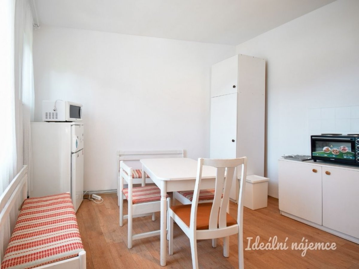 Pronájem bytu 1+1, Horymírova, Husovice, 45 m2