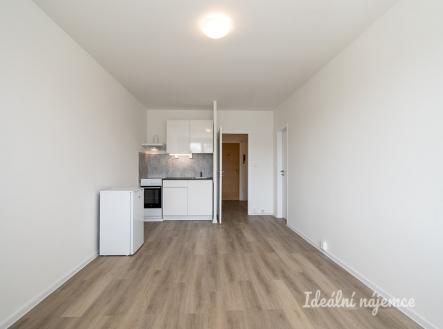 Pronájem bytu, 1+kk, 29 m²