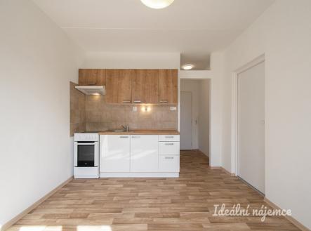 Pronájem bytu, 1+1, 38 m² obrázek