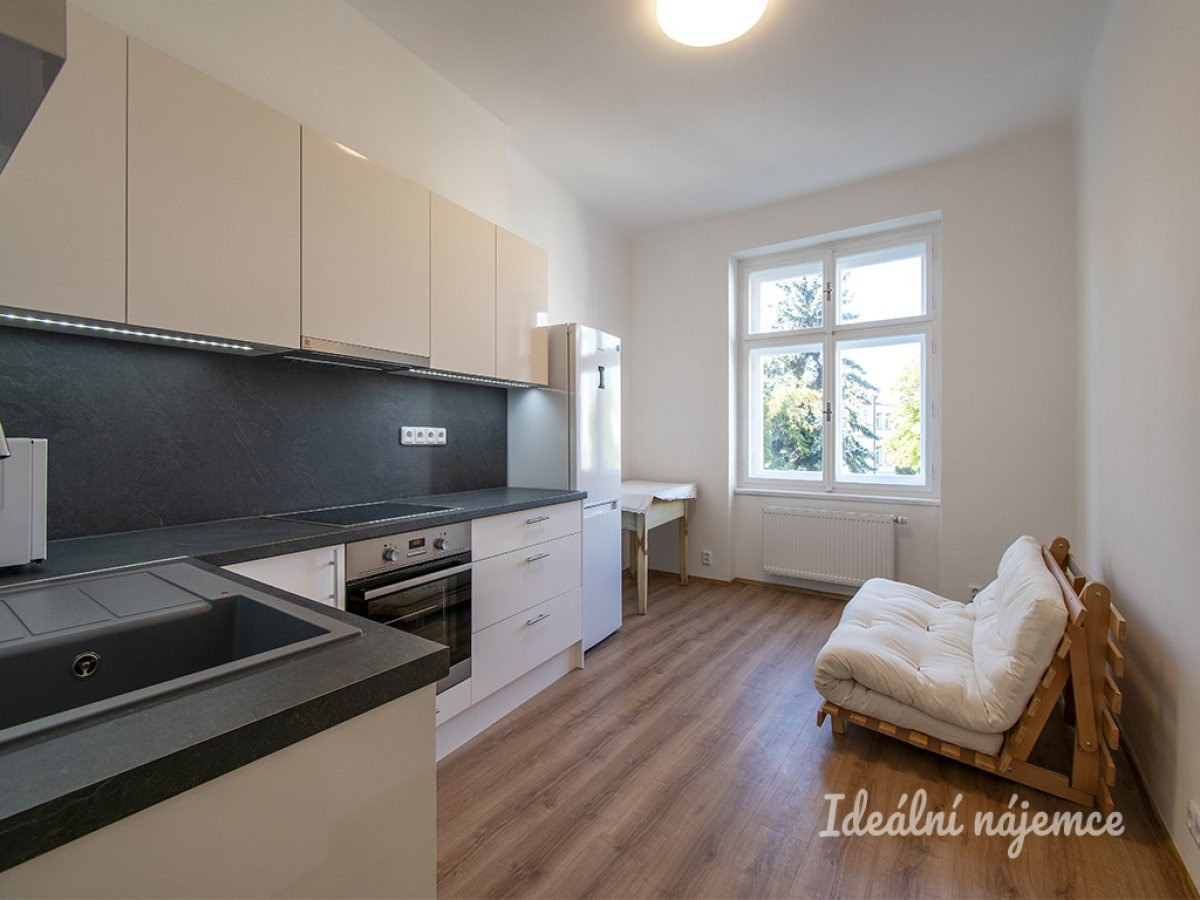Pronájem bytu 2+kk, Basilejské nám., Žižkov, 22200 Kč/měs, 49 m2