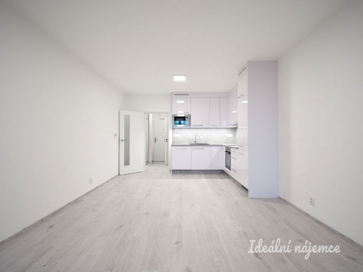 Pronájem bytu 1+kk, Reissigova, Ponava,  16200 Kč/měs, 35 m2