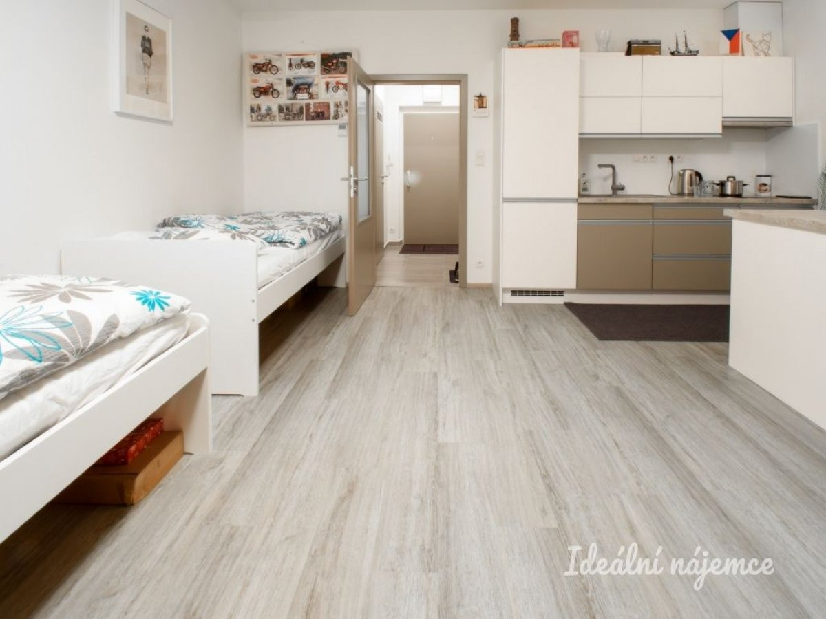 Pronájem bytu 1+kk, Lišejníkova, Brno - Bystrc, 14 500 Kč / měsíc, 35 m2