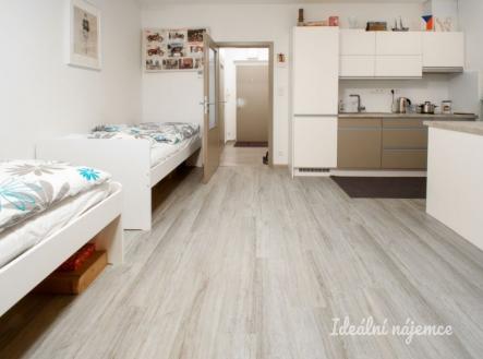 Pronájem bytu, 1+kk, 35 m²