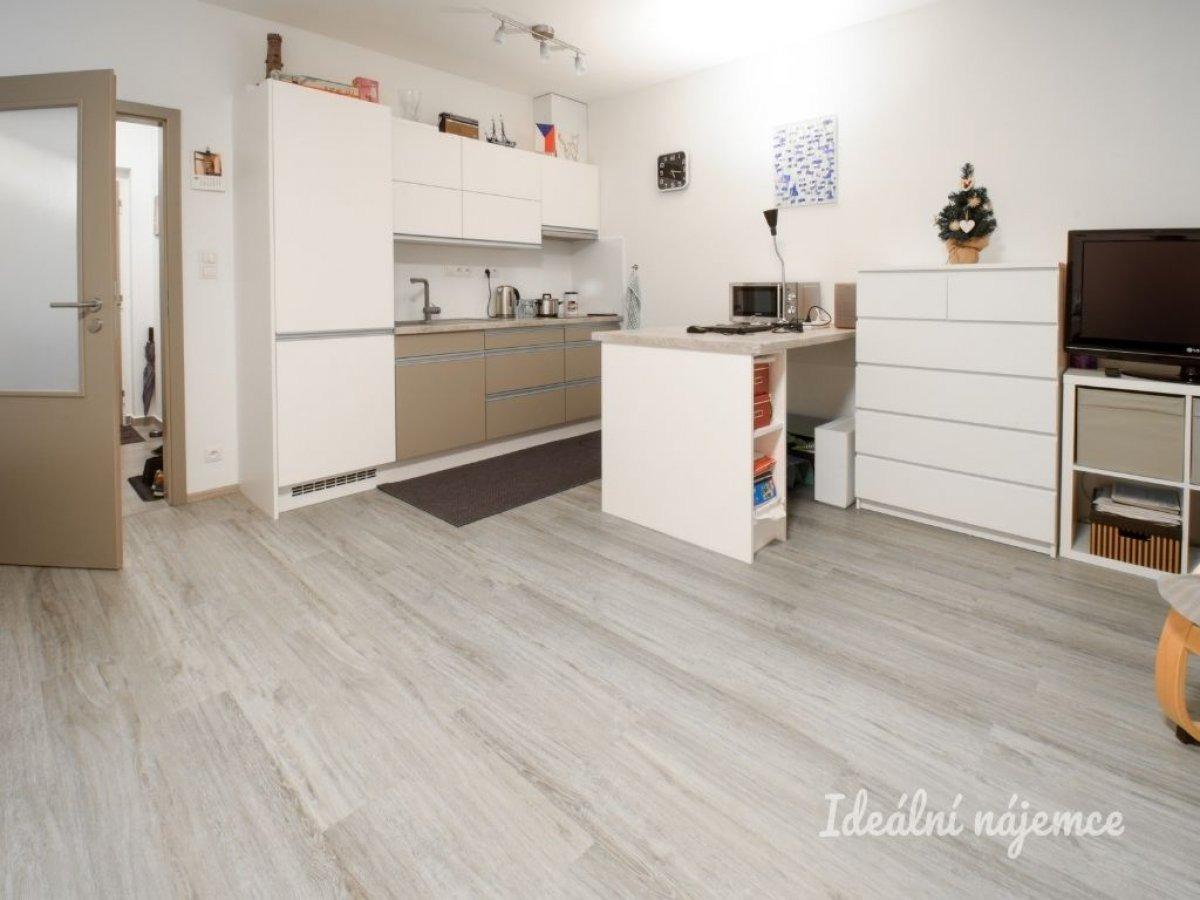 Pronájem bytu 1+kk, Lišejníkova, Brno - Bystrc, 14 500 Kč / měsíc, 35 m2