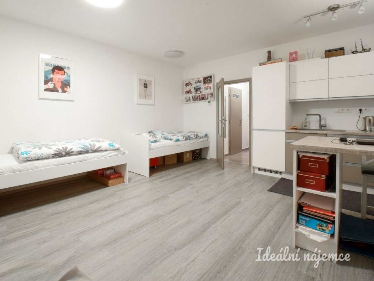 Pronájem bytu 1+kk, Lišejníkova, Brno - Bystrc, 14 500 Kč / měsíc, 35 m2