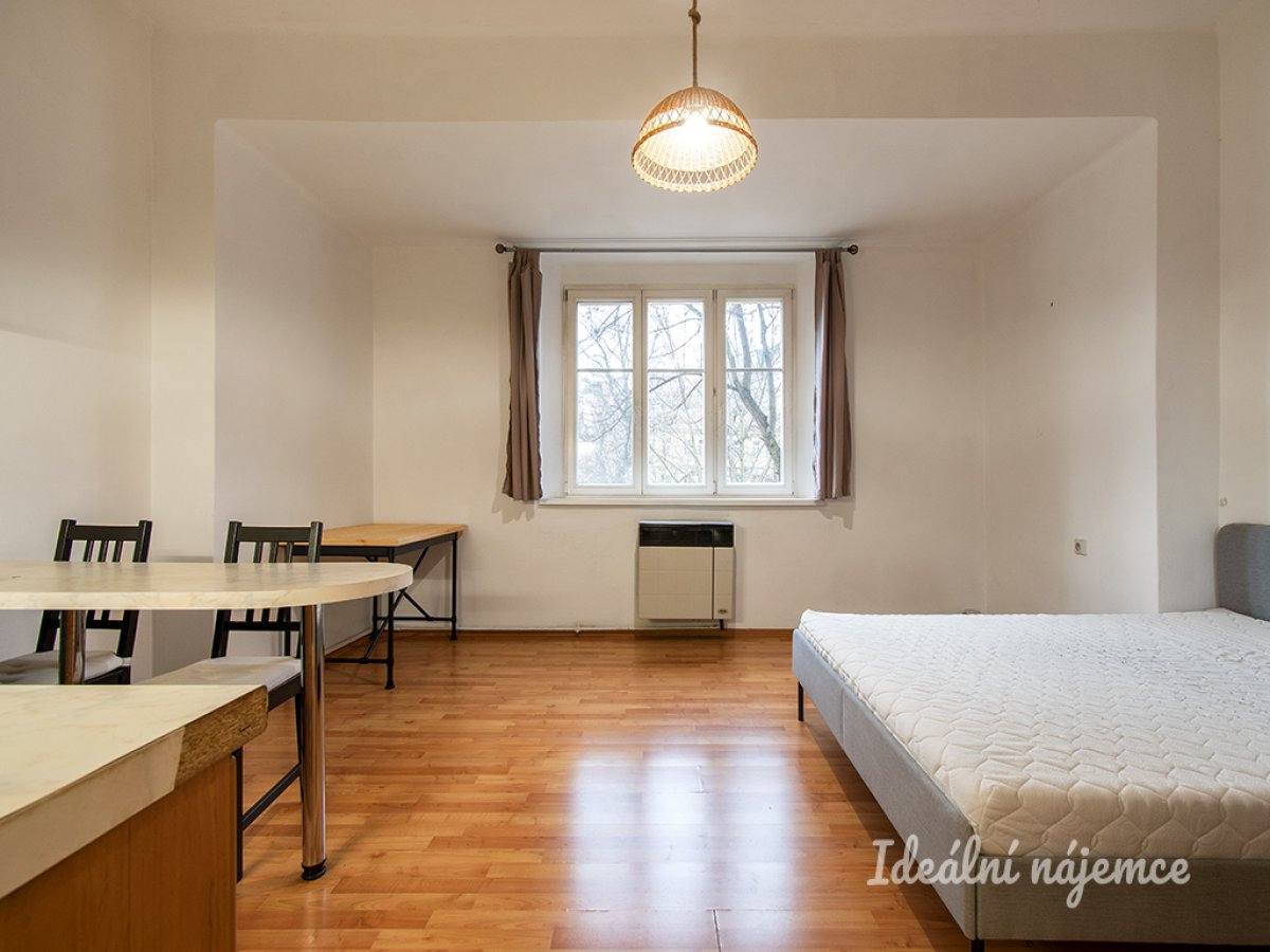 Pronájem bytu 1+kk, Na Rokytce, Libeň, 17 700 Kč/měs, 29 m2