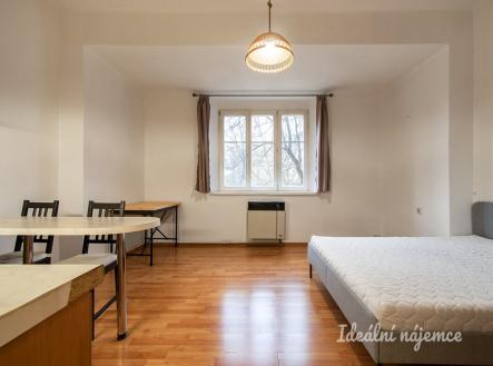 Pronájem bytu, 1+kk, 29 m²