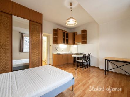 Pronájem bytu, 1+kk, 29 m²