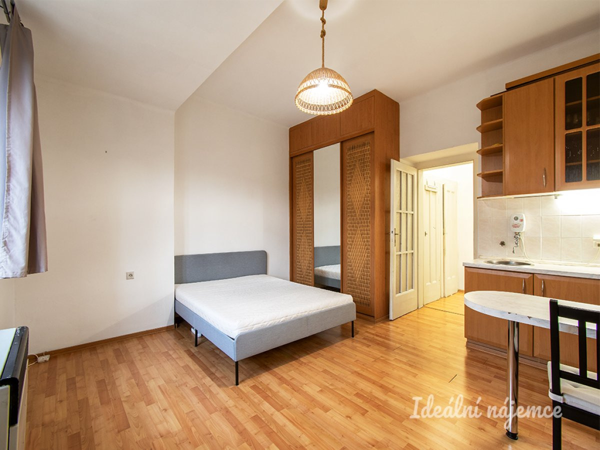 Pronájem bytu 1+kk, Na Rokytce, Libeň, 15 900 Kč/měs, 29 m2
