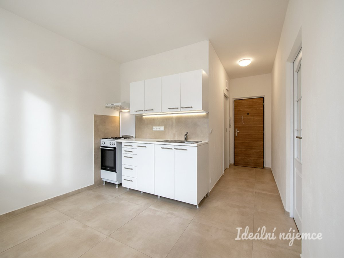 Pronájem bytu 1+1, Olbramovická, Kamýk, 16500 Kč/měs, 36 m2