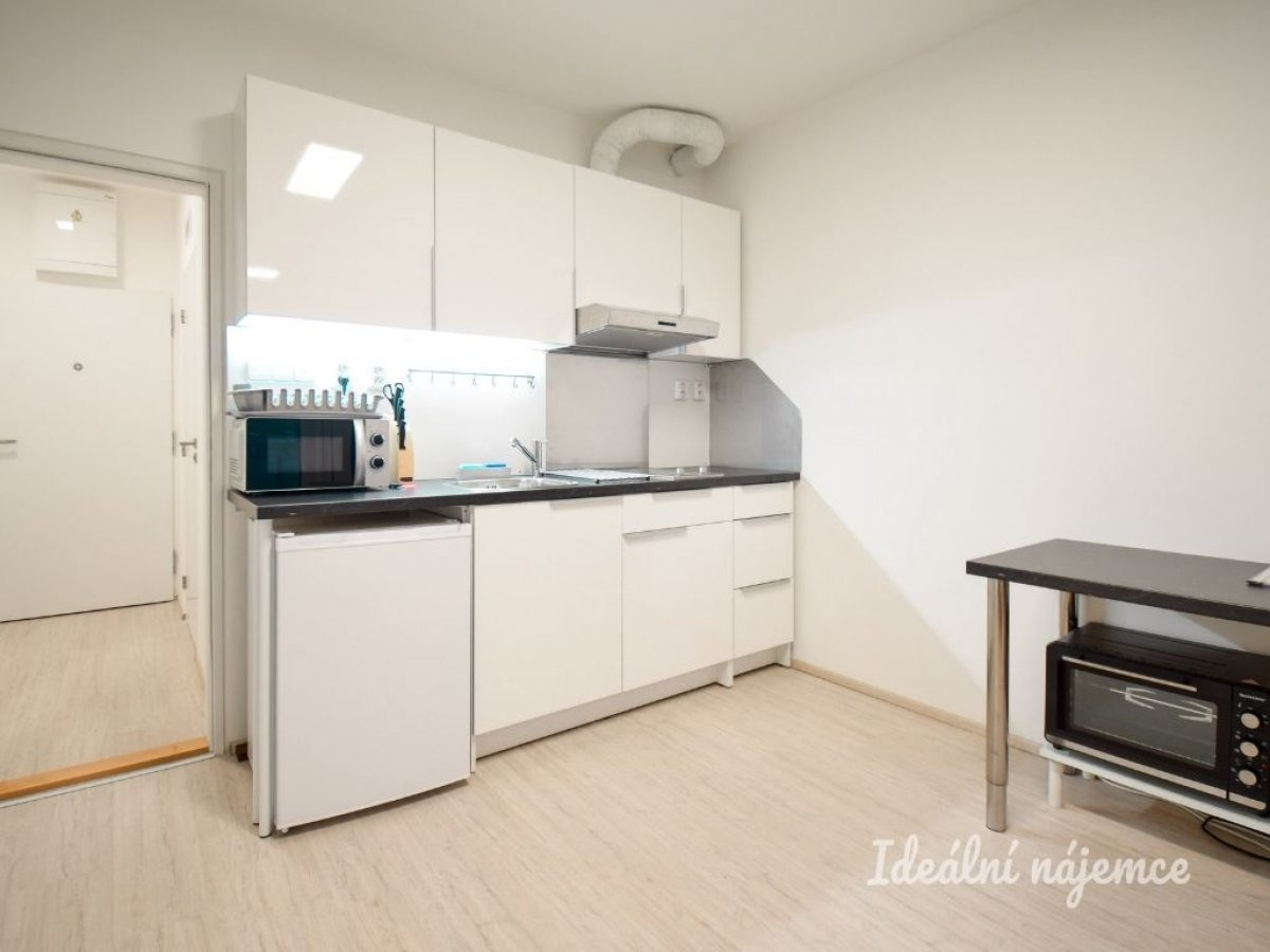 Pronájem bytu 1+kk, Reissigova, Ponava, 34 m2