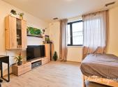 Pronájem bytu, 1+kk, 34 m²
