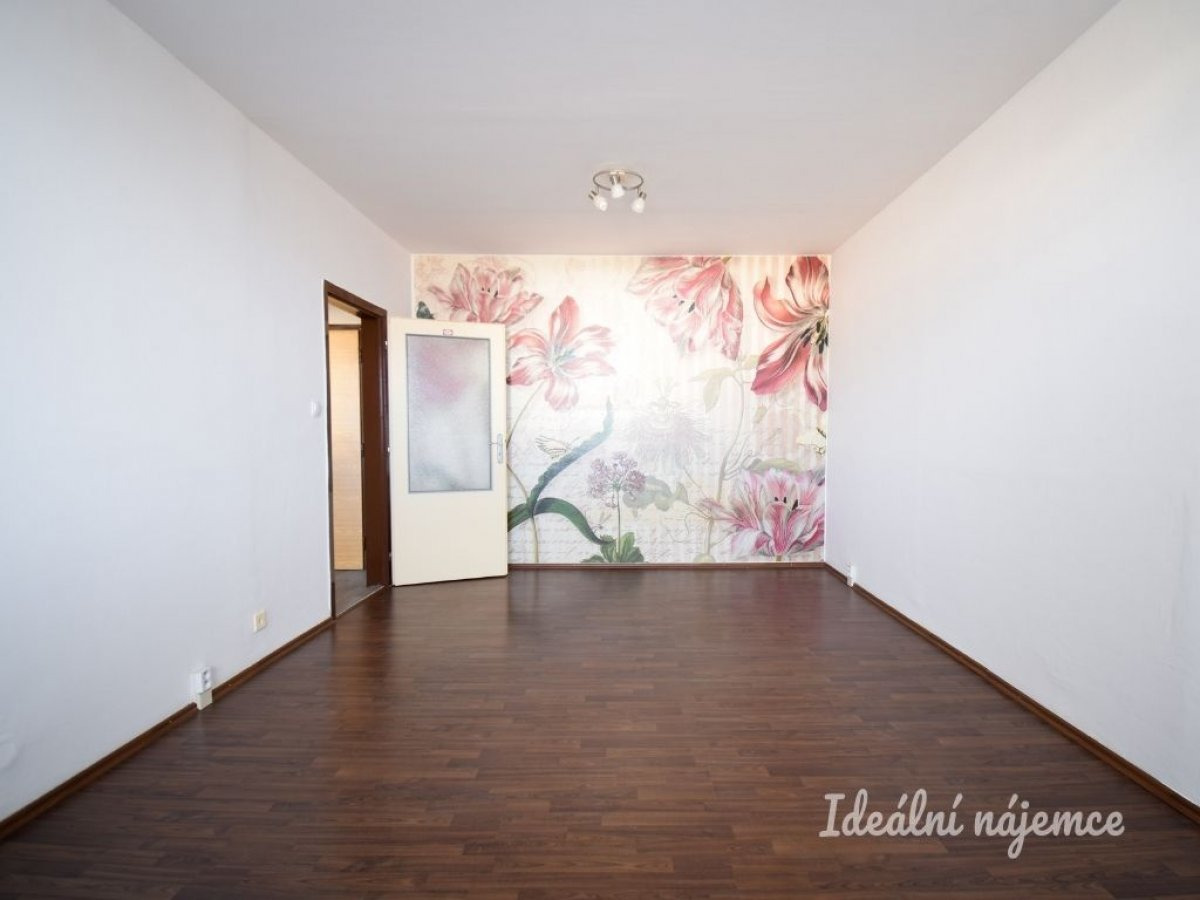 Pronájem bytu 1+1, Teyschlova, Bystrc, 39 m2