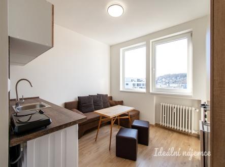 Pronájem bytu, 1+kk, 17 m²