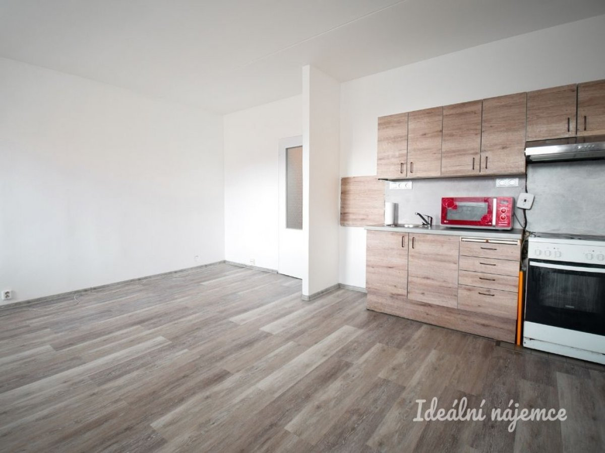 Pronájem bytu 1+kk, Velkopavlovická, Židenice, 14 000 Kč/měs., 30 m2