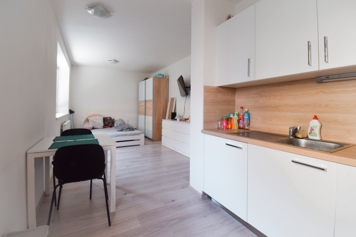 Pronájem bytu 1+kk, Žabí, Bystrc, 13 900 Kč/měs, 40 m2