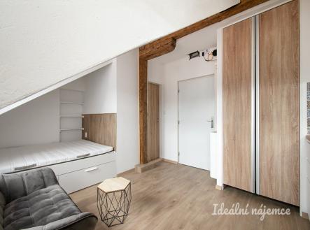 Pronájem bytu, 1+kk, 19 m²