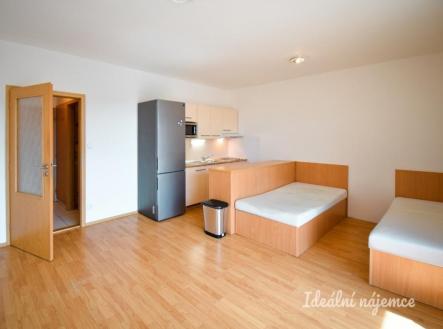 Pronájem bytu, 1+kk, 37 m²