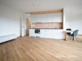 Pronájem bytu, 1+kk, 51 m²